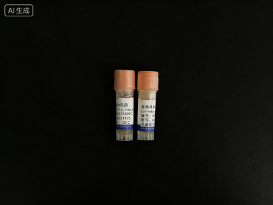 实时荧光定量PCR技术在食源性致病菌检测中的应用